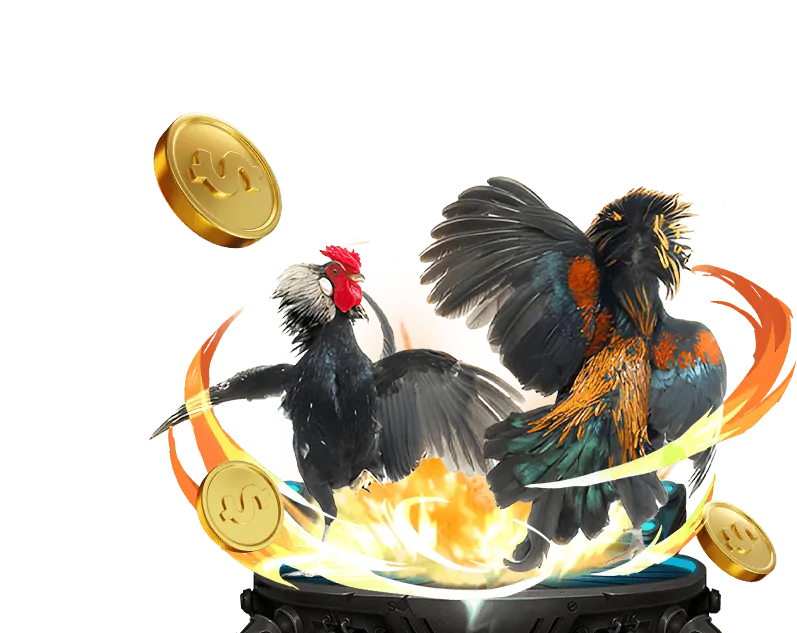 Hướng dẫn chơi slot games tại nbet code